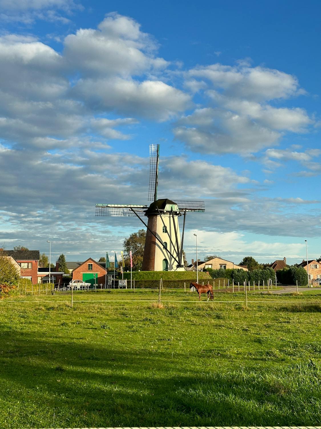 windmolen pelt