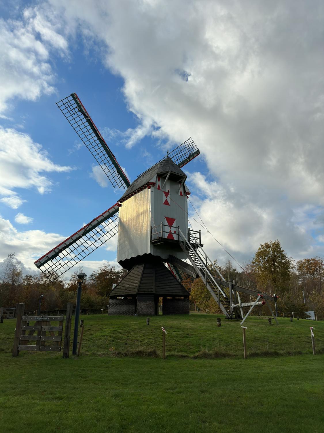 windmolen pelt